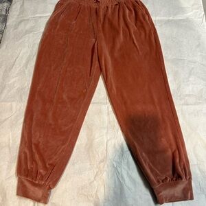 Cozy Velvet Jogger Pants in Rust